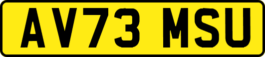 AV73MSU
