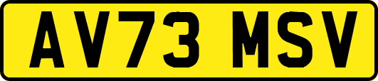 AV73MSV