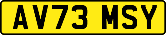 AV73MSY