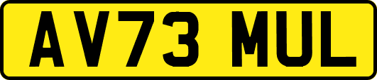 AV73MUL