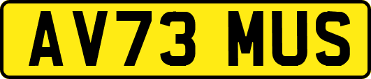 AV73MUS