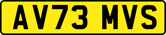 AV73MVS