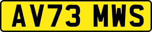 AV73MWS