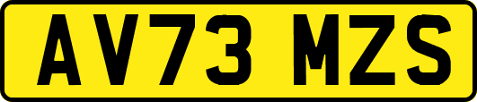 AV73MZS