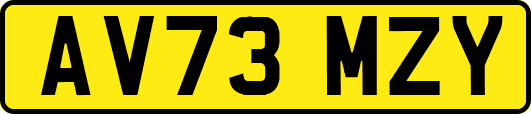 AV73MZY