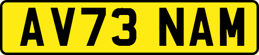AV73NAM