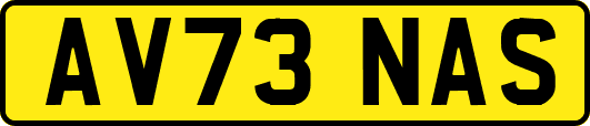 AV73NAS