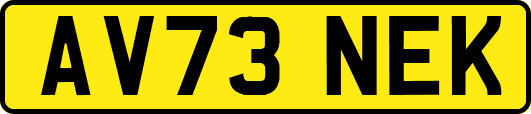 AV73NEK