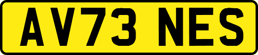 AV73NES