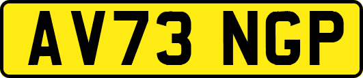 AV73NGP