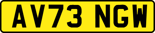 AV73NGW