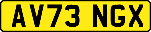 AV73NGX