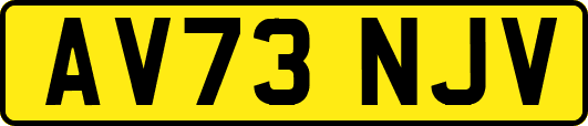 AV73NJV
