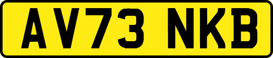 AV73NKB