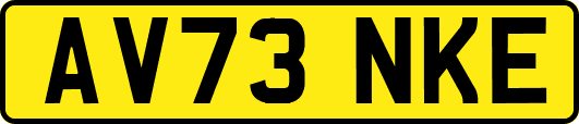 AV73NKE