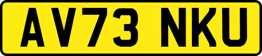 AV73NKU