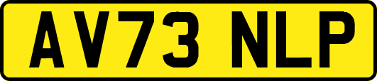 AV73NLP