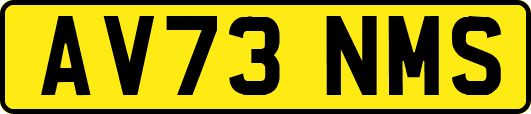 AV73NMS