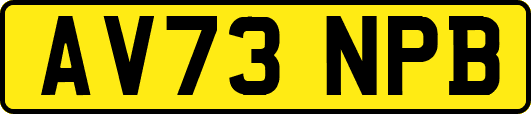 AV73NPB