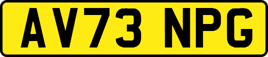 AV73NPG
