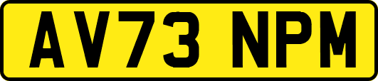 AV73NPM