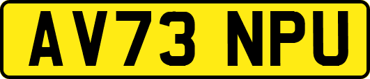 AV73NPU