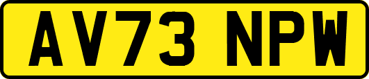 AV73NPW