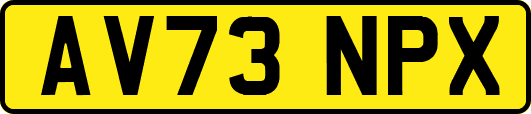 AV73NPX