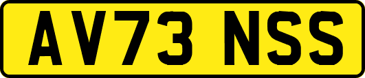 AV73NSS