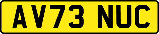 AV73NUC
