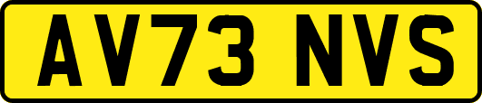 AV73NVS