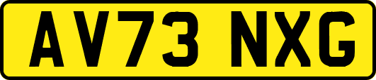AV73NXG