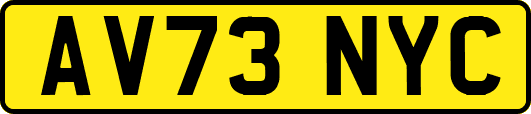 AV73NYC