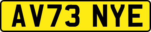AV73NYE