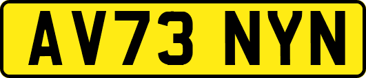 AV73NYN