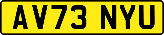 AV73NYU