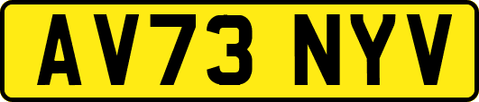 AV73NYV