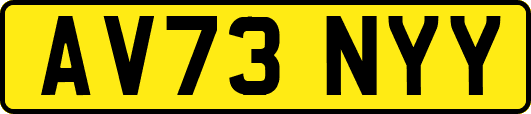 AV73NYY