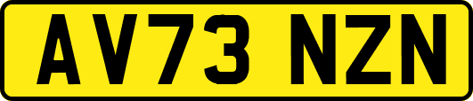 AV73NZN