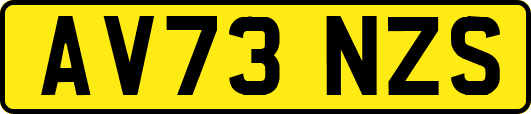 AV73NZS