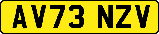 AV73NZV