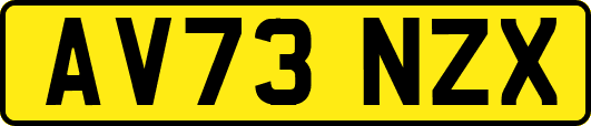 AV73NZX