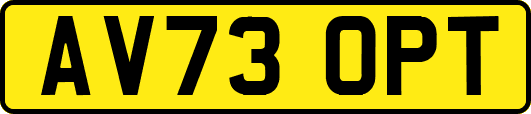 AV73OPT