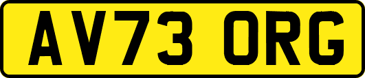 AV73ORG