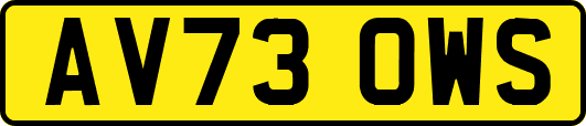 AV73OWS