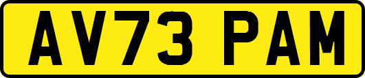 AV73PAM