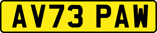 AV73PAW