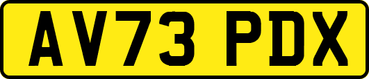 AV73PDX
