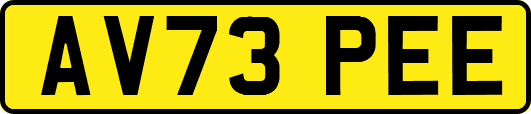 AV73PEE