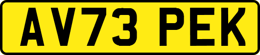 AV73PEK